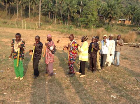 Traditional dance